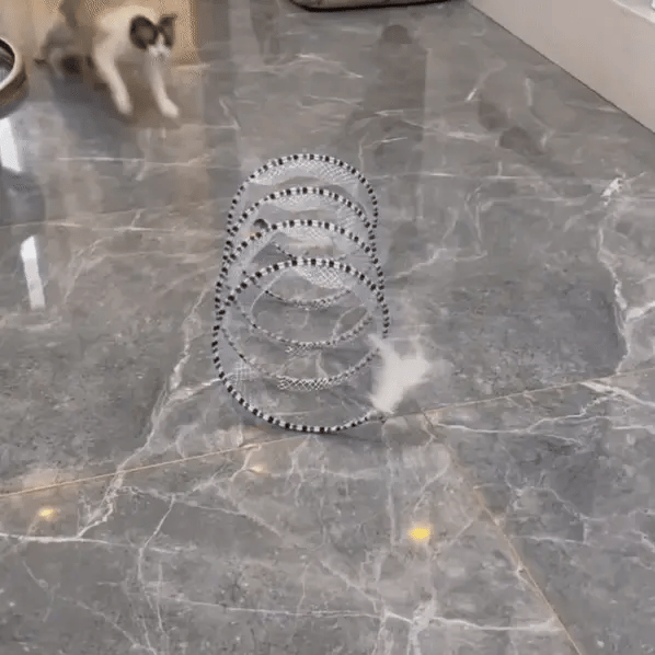 *Crazy Cat Spring (Free Today)*