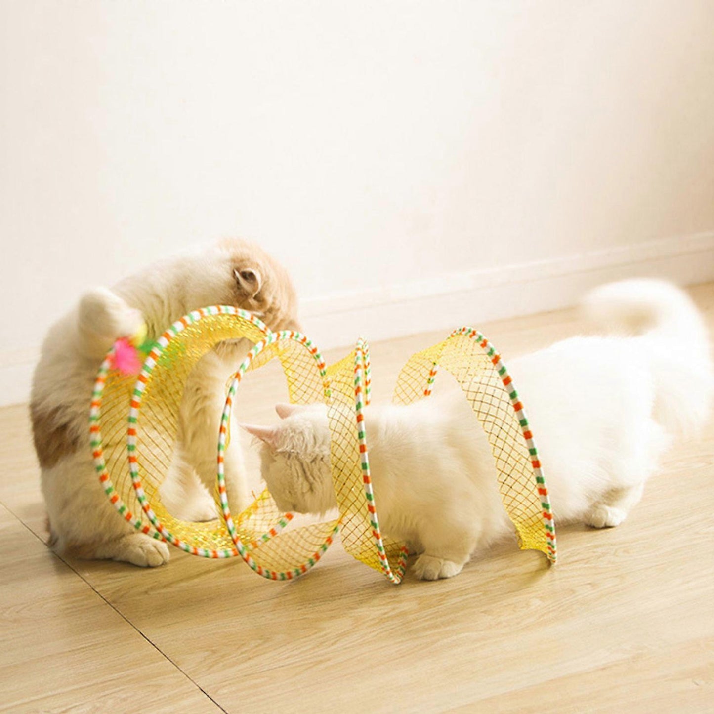 *Crazy Cat Spring (Free Today)*