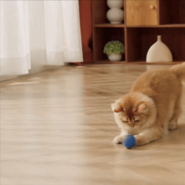 Cat Zip Tail (Free Today)