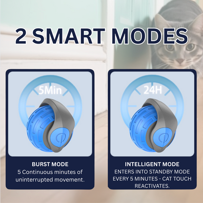 Cat Zip Tail (Free Today)