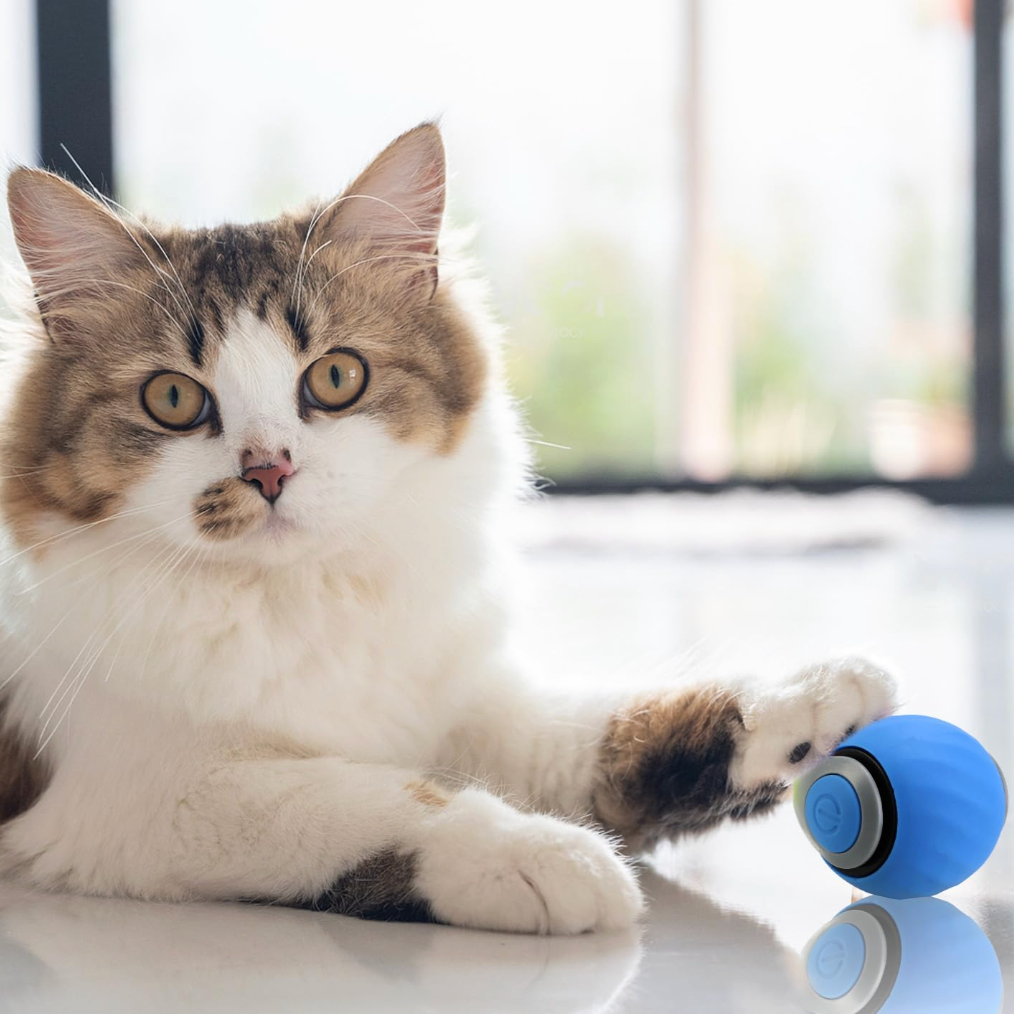 Cat Zip Tail (Free Today)