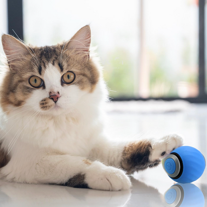 Cat Zip Tail (Free Today)