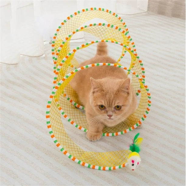 *Crazy Cat Spring (Free Today)*