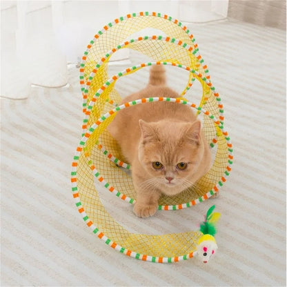 *Crazy Cat Spring (Free Today)*